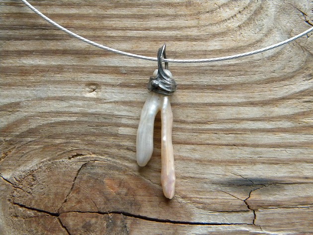 naszyjniki - inne Dwuząb - naszyjnik - pojedynczy akcent