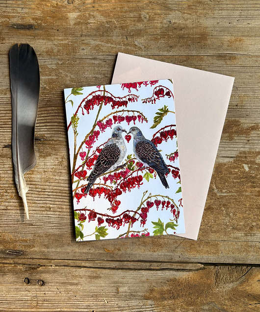 kartki okolicznościowe - wydruki Turkawki- Kartka- Grafika- Ilustracja- Ptaki