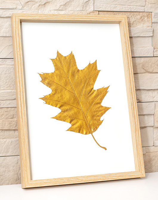 obrazy Obraz Botaniczny 3D. Złoty Liść Dąb 20x30cm. Golden Oak Leaf Wall Art