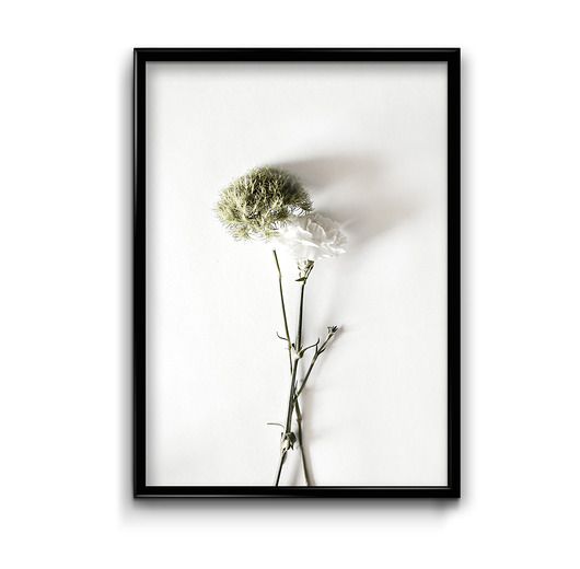 plakaty Plakat Floral No.9 