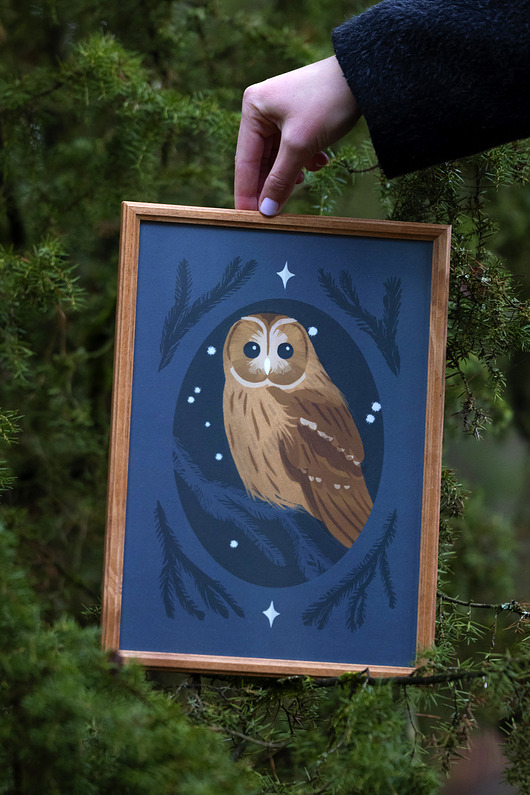 plakaty Plakat A4/kartka Puszczyk