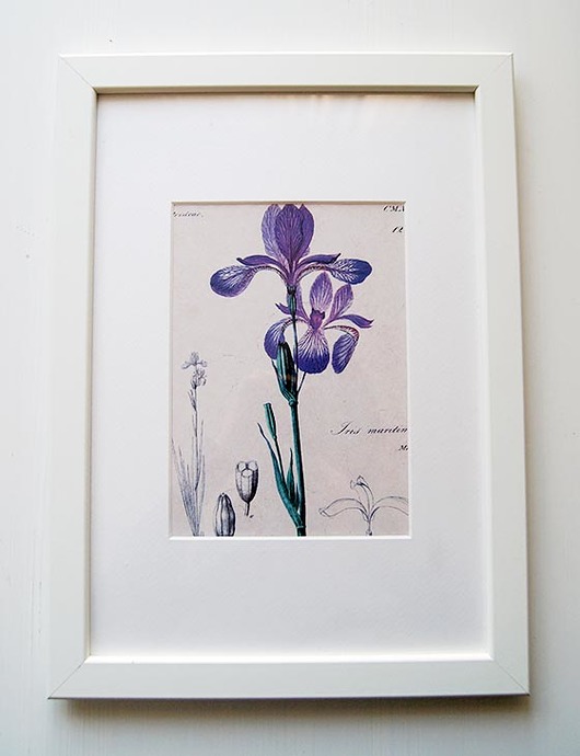 botaniczne inspiracje Galeria Belladonna