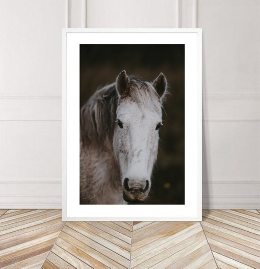 PLAKAT z koniem,koń plakat,boho plakat black dot studio