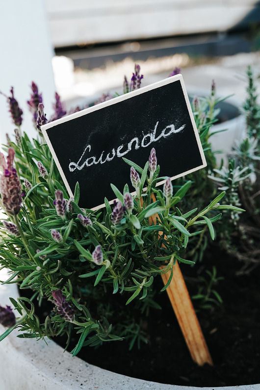 doniczki Tabliczki do roślin drewniane