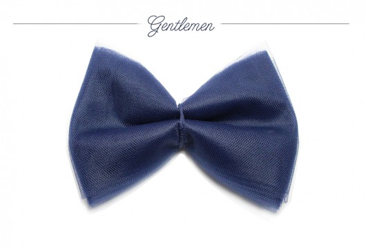 Gentlemen's bow - back to school - mucha Olga POKRYWKA