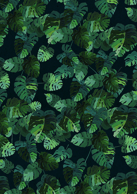 Monstera Deliciosa BOSKE