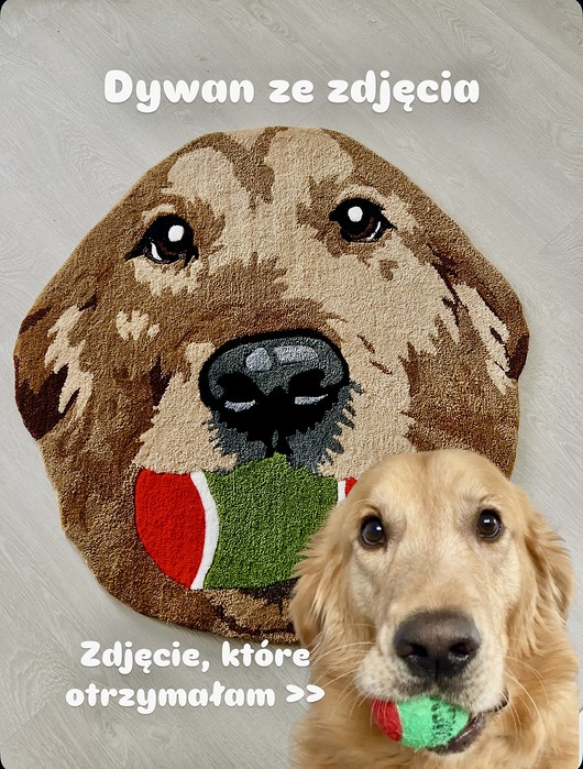 dywany Dywan golden retriver