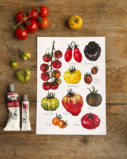 grafiki i ilustracje Pomidory- Grafika na ścianę- Ilustracja- Warzywniak