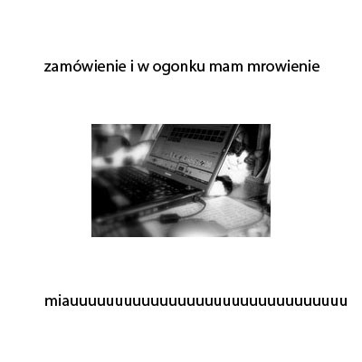 zamówienie ruda klara