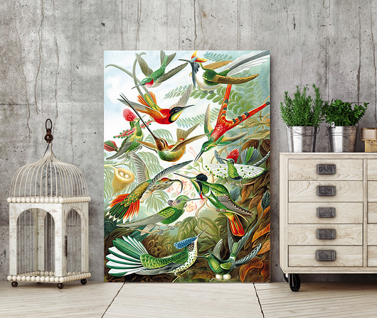 SUPER PROMOCJA Rajskie ptaki 50x70 cm - plakat B HOG STUDIO