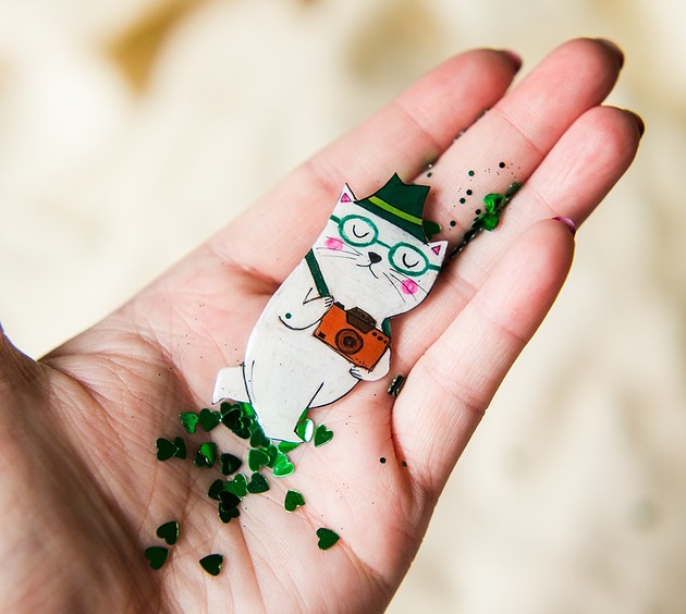 broszki Kot fotograf