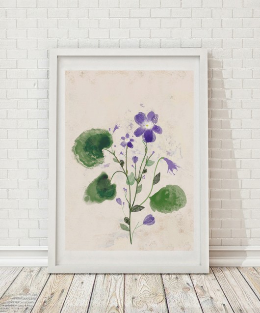 Fiołek | ilustracja botaniczna A3 Anita Tomala