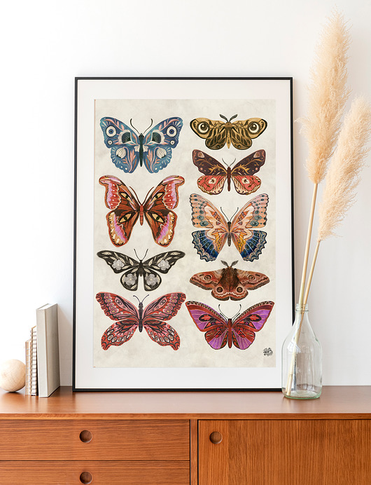 plakaty Motyle i ćmy plakat, plakat botaniczny, motyle