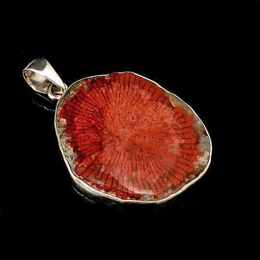 wisiory Czerwony koral