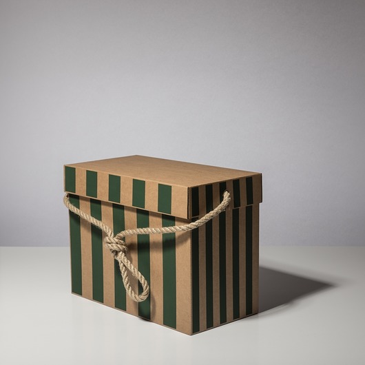 Bag Box - Torba tekturowa 32x16x24 cm pasy zielone BagStreetBox