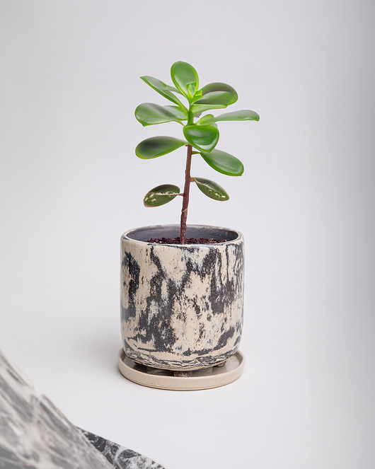 doniczki Ceramiczna doniczka z podstawką