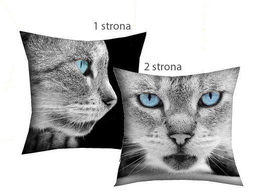 2w1 rzymskie koty 4 - poszewka 45 cm AT design