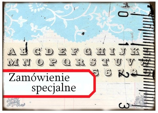 Zamówienie specjalne Maria Antonina (w linie) Not Only Paper