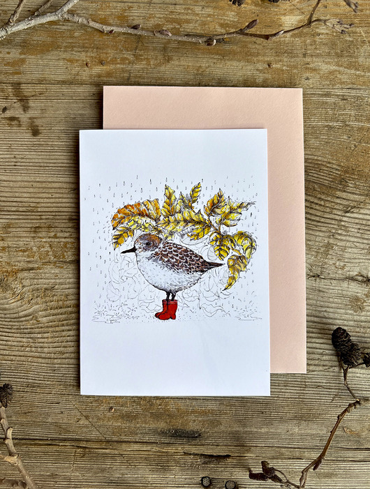 kartki okolicznościowe - wydruki Ptaszek w butach- Biegus- Kartka- Grafika- Ilustracja- Ptaki