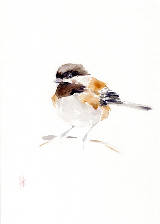 obrazy Oryginalna akwarela. Sikora północna