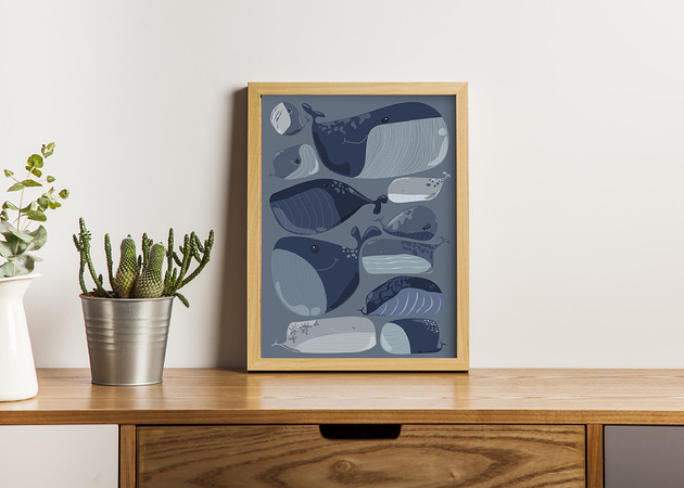 plakaty Plakat Wieloryby 