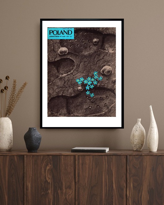 plakaty Plakat Oprawiona okładka miesięcznika POLSKA wrzesień 1973 r, aut. Maciej Pio...