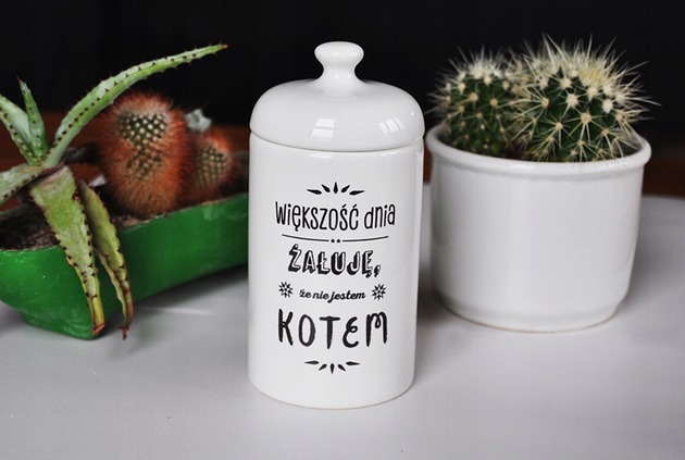 pojemniki kuchenne Większość dnia żałuje że nie jestem kotem pojemnik
