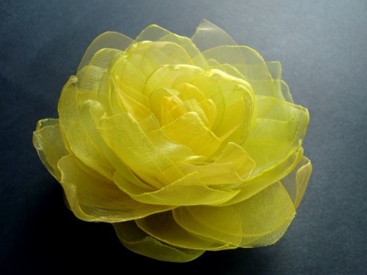 CYTRYNKA SundayRose