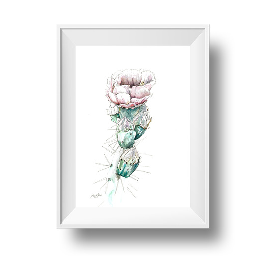 Kwitnący kaktus, 21x30 cm, A4 JUST ILUST Justyna Małczak