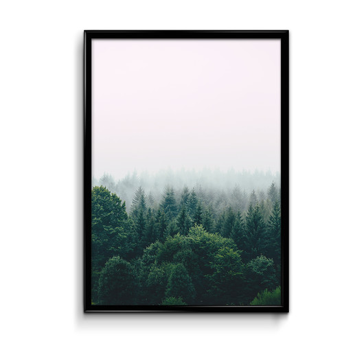 Plakat las 50x70 Bury Lis