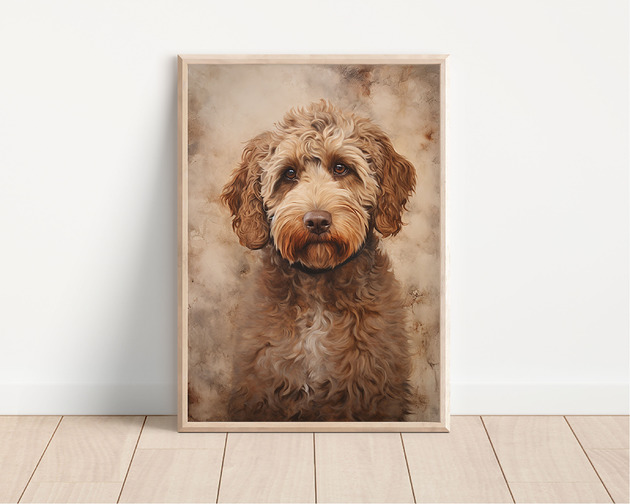 plakaty Plakat lagotto romagnolo