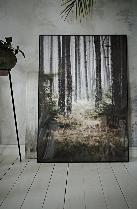 fotografia Las fotografia 70x100 cm