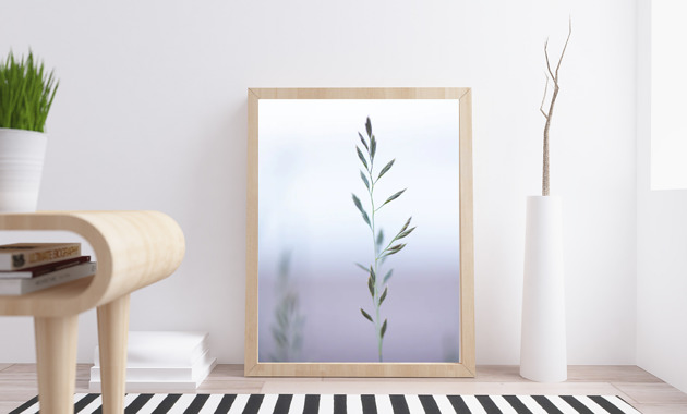 PLAKAT trawa natura minimalistyczny black dot studio