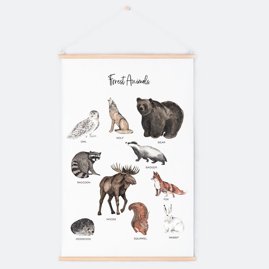 Plakat Forest Animals - Leśne Zwierzęta TamTamTu