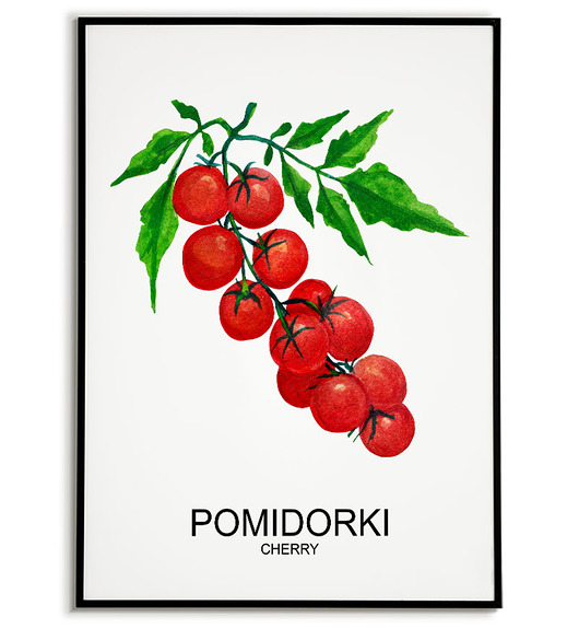 plakaty Plakat  GRAFIKA POMIDORKI CHERRY warzywa ZIOŁA