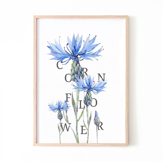 PLAKAT CHABRY P189 Yoko Design