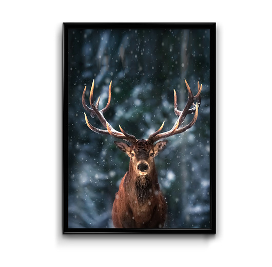 plakaty Plakat Zimowy Jeleń
