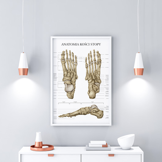 Plakat ANATOMIA KOŚCI STOPY Marta Pawelec Medical Art