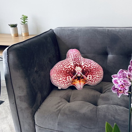 poduszki z grafiką Poduszka Duży Storczyk Orchidea Phalaenopsis