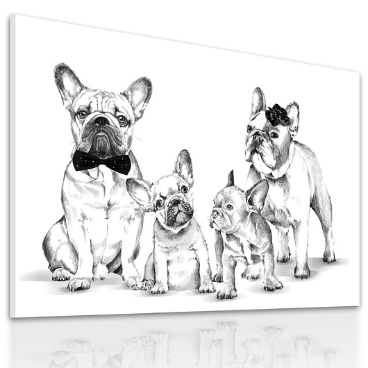 obrazy Obraz drukowany Rodzina buldogów 120x80cm