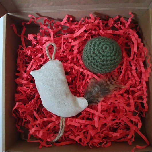 Zabawki dla zwierząt Zestaw zabawek dla kota GIFT BOX 1