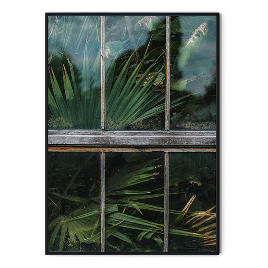 Plakat botaniczny Szklarnia no. 1 myscandi