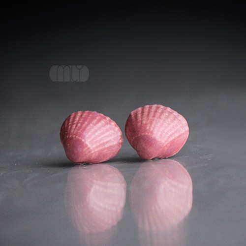 Shell/stal chirurgiczna/ Magda Łysiak