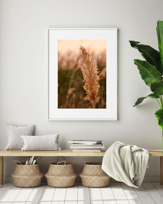 PLAKAT trawa pampasowa beżowy natura black dot studio