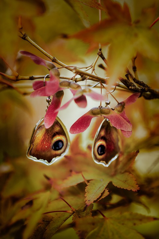 kolczyki - inne Kolczyki motyle rusałka pawik