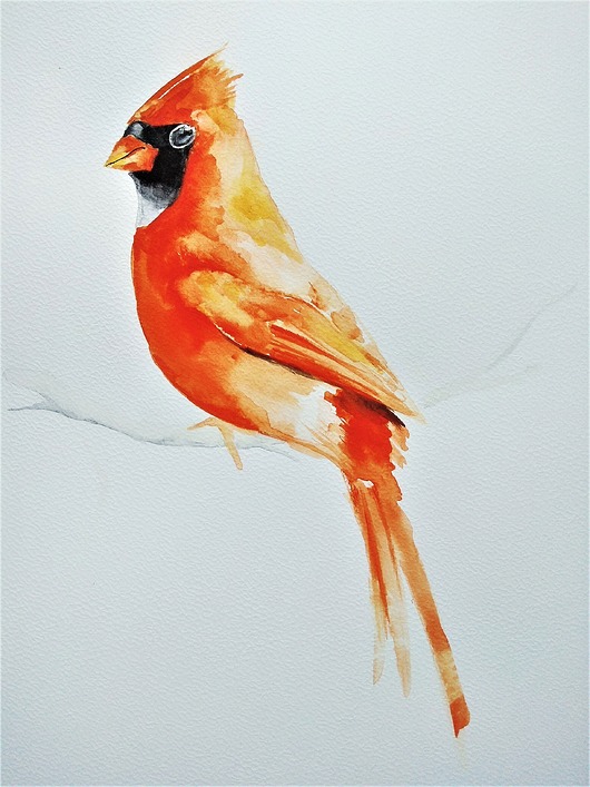 Akwarela Ptak Kardynał Wiktoria Borys Art