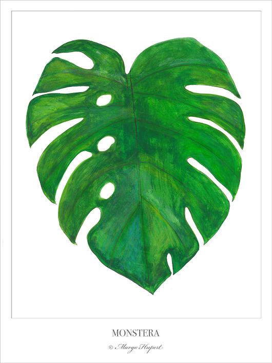 MONSTERA/  plakat/poster, wydruk cyfrowy Margo Hupert