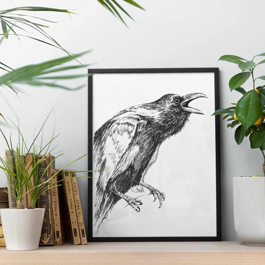 grafiki i ilustracje Kruk