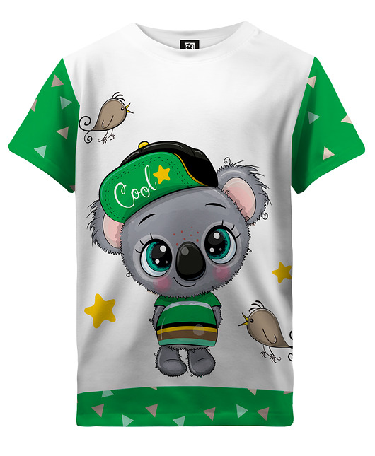 t-shirty dla chłopców T-shirt Boy DR.CROW Coala