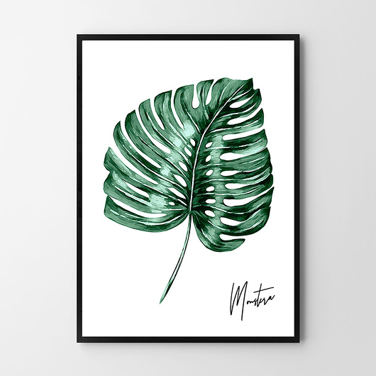 Plakat Monstera HOG STUDIO